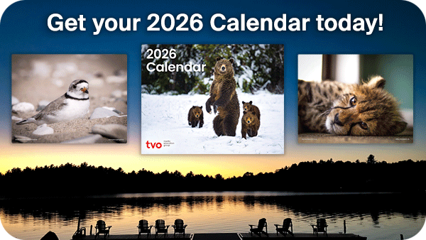 2026 Calendar